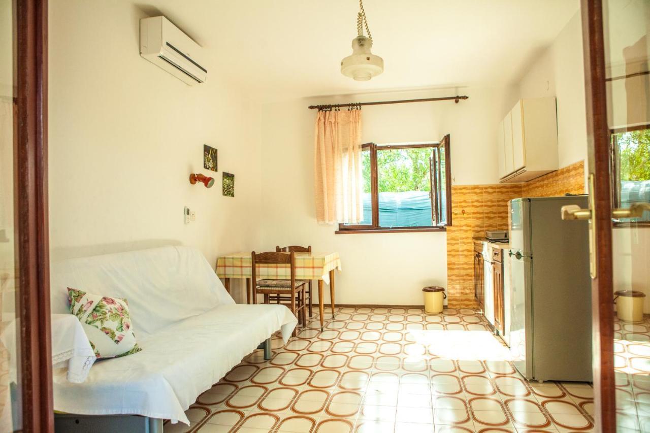 Apartments Alma Novalja Exterior photo