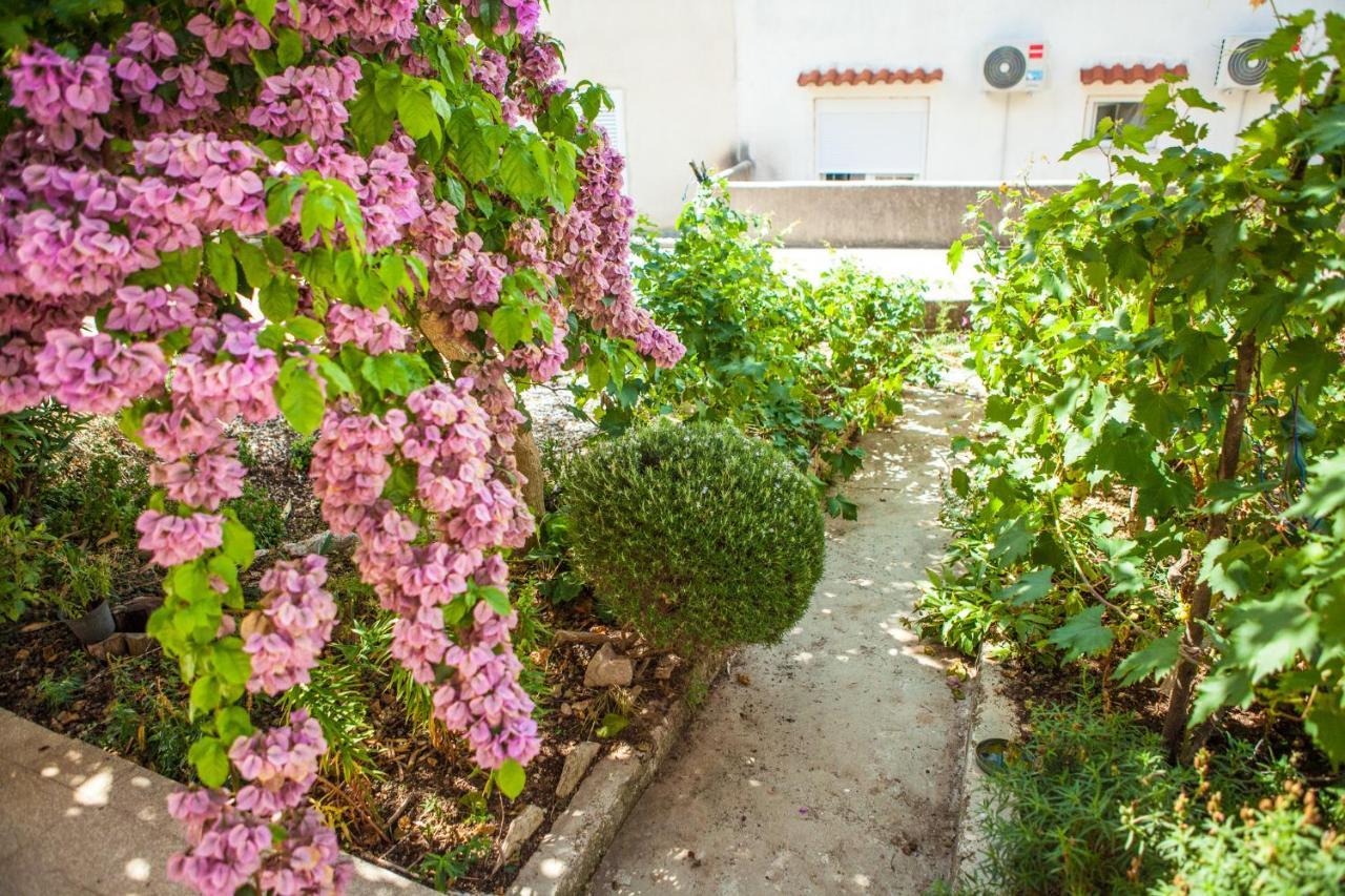 Apartments Alma Novalja Exterior photo